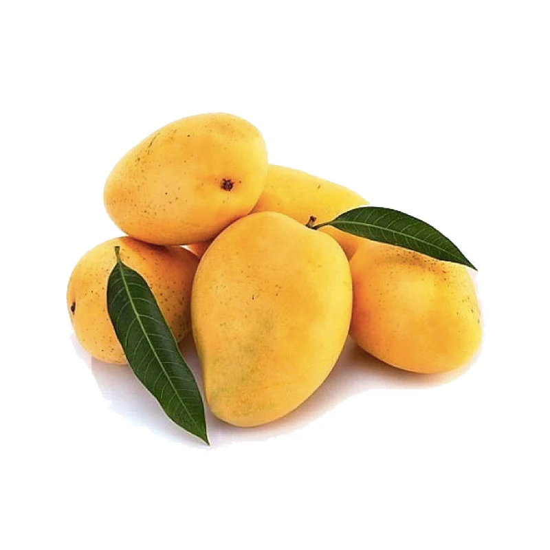 Safeda Mango